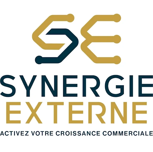 logo synergie externe - karen gerardin